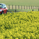 Image for article titled Ten Reasons Why You Should Learn To Drive Stick